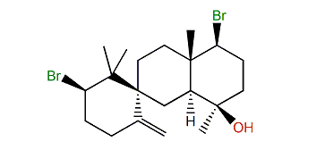 Kahukuene B